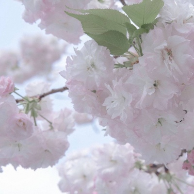 Furry插画细节提升福瑞交流群